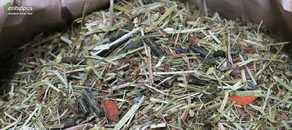 Pferdefutter Green Light von Eohippos Eohippos Green Light - Struktur Müsli für Pferde