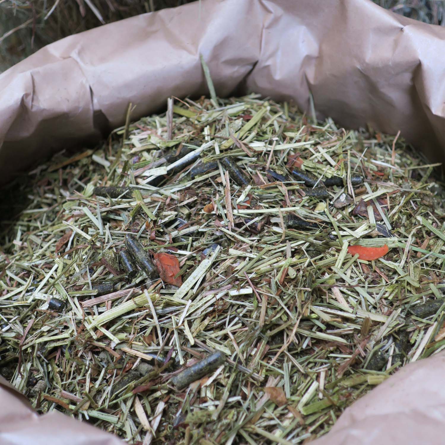 Eohippos Green Light - Pferdemüsli mit viel Raufutter