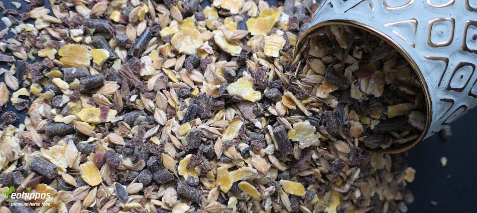 Aufbau Futter für Pferde - Pferdemüsli ohne Hafer - Eohippos Pferdefutter Indian Summer
