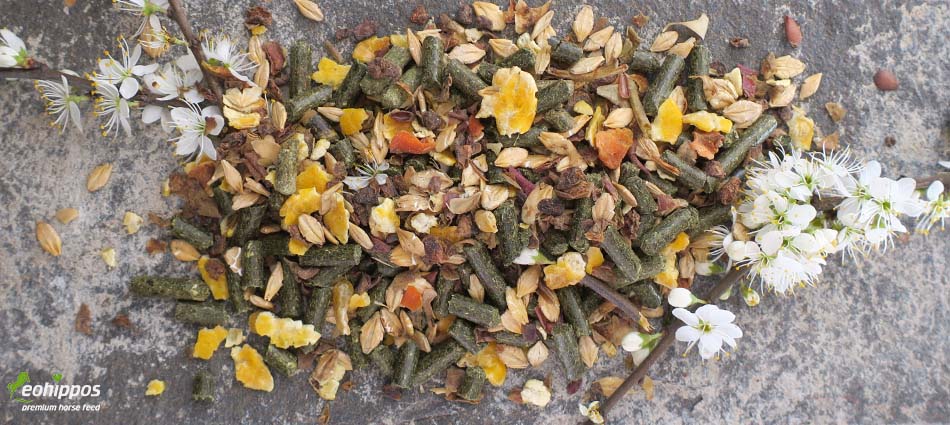 Eohippos Stay Calm Futter für Pferde für starke Nerven - Pferdefutter