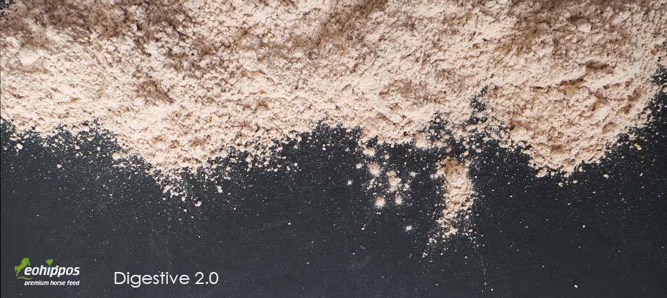 Eohippos Digestive für Pferde mit Kotwasser 