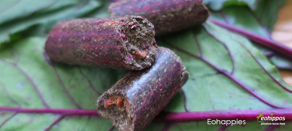 Zuckerfreie Leckerchen für Pferde von Eohippos Eohippos Leckerchen für Pferde ohne Zucker