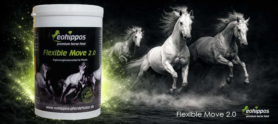 Eohippos Flexible Move Eohippos Flexible Move bei Sehnenschaden und Arthrose