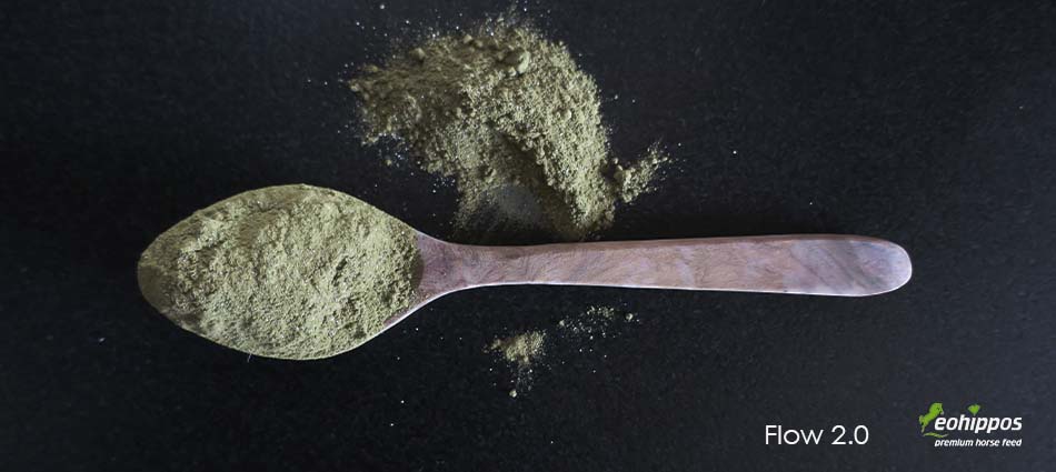 Eohippos Flow für den Fellwechsel deines Pferdes Eohippos Flow Zusatzfutter für Stoffwechsel und Immunsystem für Pferde