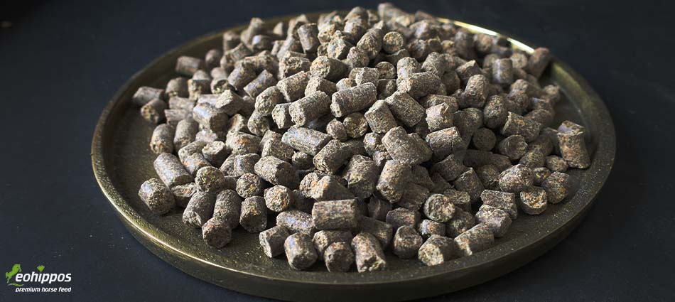 Eohippos Promin - organisch gebundenes Mineralfutter getreidefrei Eohippos ProMin Mineralfutter für Pferde