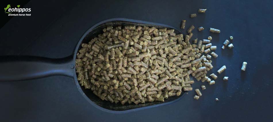 Eohippos Showtime Eohippos Showtime - Aminosäuren für den Muskelaufbau deines Pferdes