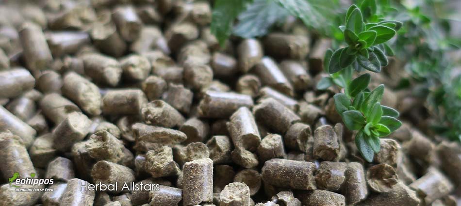 Eohippos Herbal Allstars Pellets gegen Husten Eohippos Herbal Allstars bei Husten von Pferden und Immunsystem