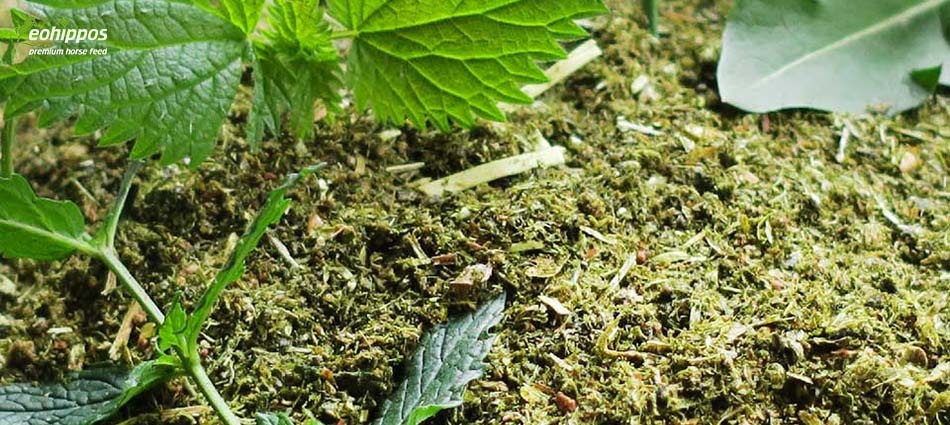 Eohippos Herbal Heaven Mash getreidefrei für Pferde - Mash melassefrei mit Kräutern