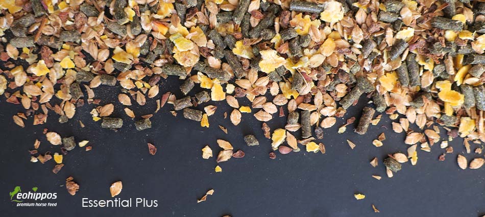 Eohippos Essential Plus Müsli füe Pferde ohne Hafer