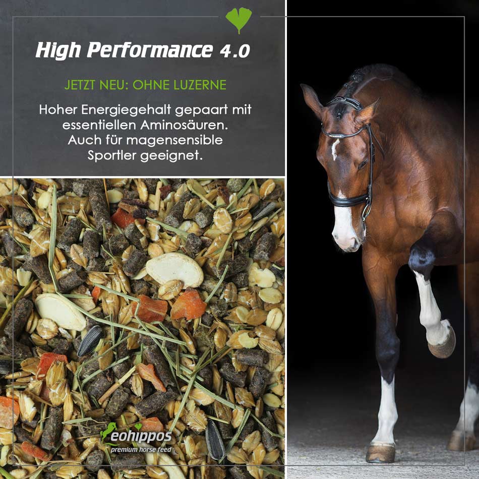 High Performance 4.0 - Eohippos Pferdefutter kaufen für Sportpferde Müsli agrobs