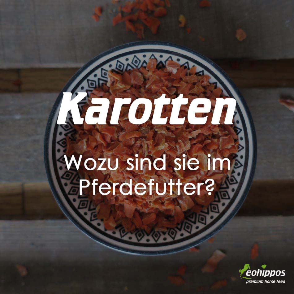 Karotten Flocken im Pferdefutter von Eohippos
