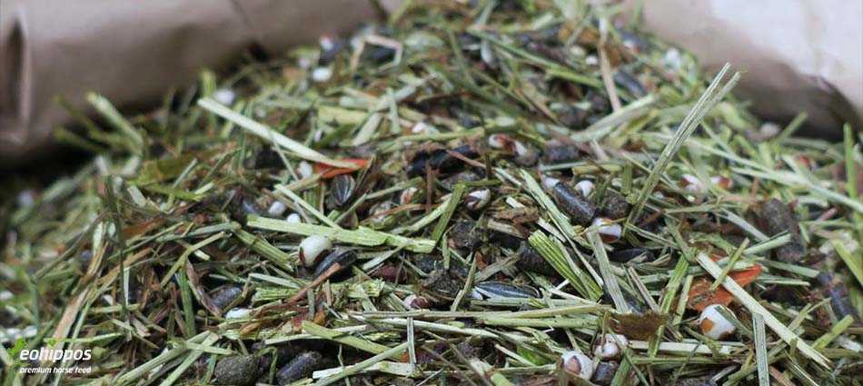 Eohippos Green Power - getreidefreies Pferdefutter mit viel Energie