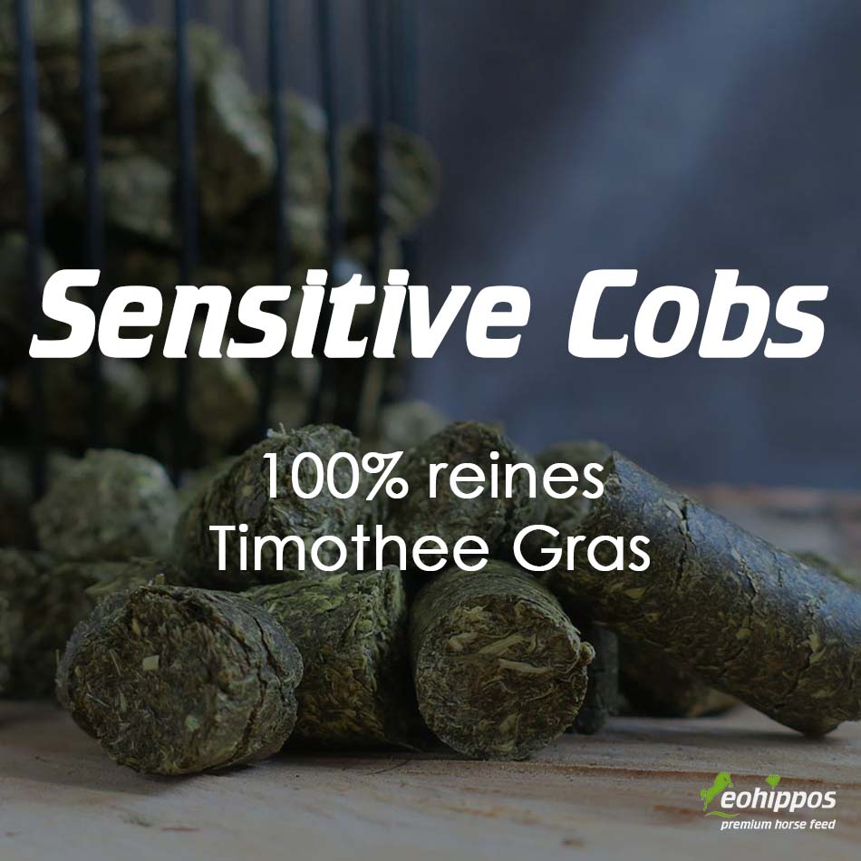 Sensitive Cobs Timothee Gras für Pferde Heucobs von Eohippos