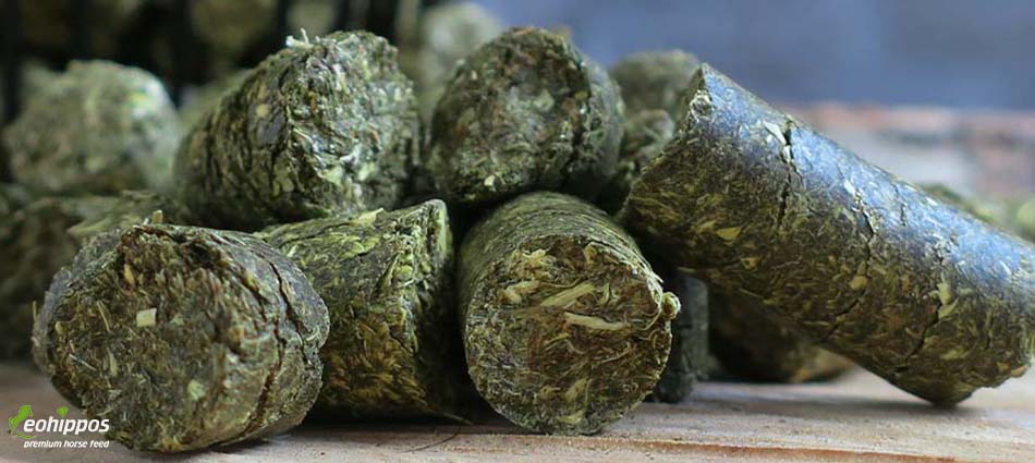 Eohippos Sensitive Cobs Timothee Heucobs ihne Zucker