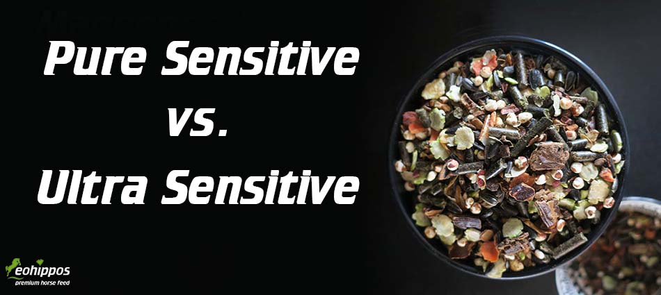 Eohippos Pferdefutter - welches Gastro Müsli ist das richtige für mein Pferd mit Magengeschwüren?