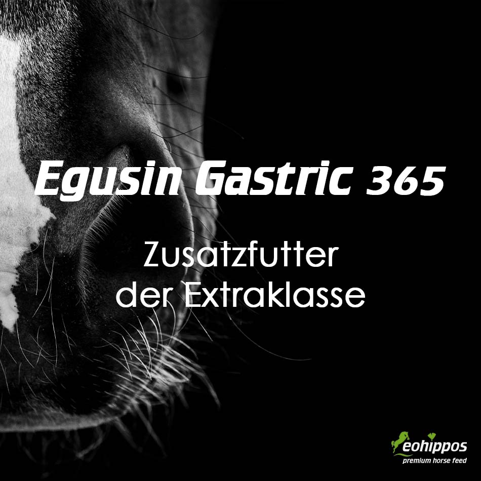 Eohippos Egusin Gastric - Zusatzfutter bei Magengeschwüren für Pferde