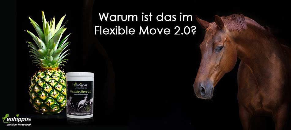 Eohippos Flexible Move bei Sehnenschaden und Arthrose