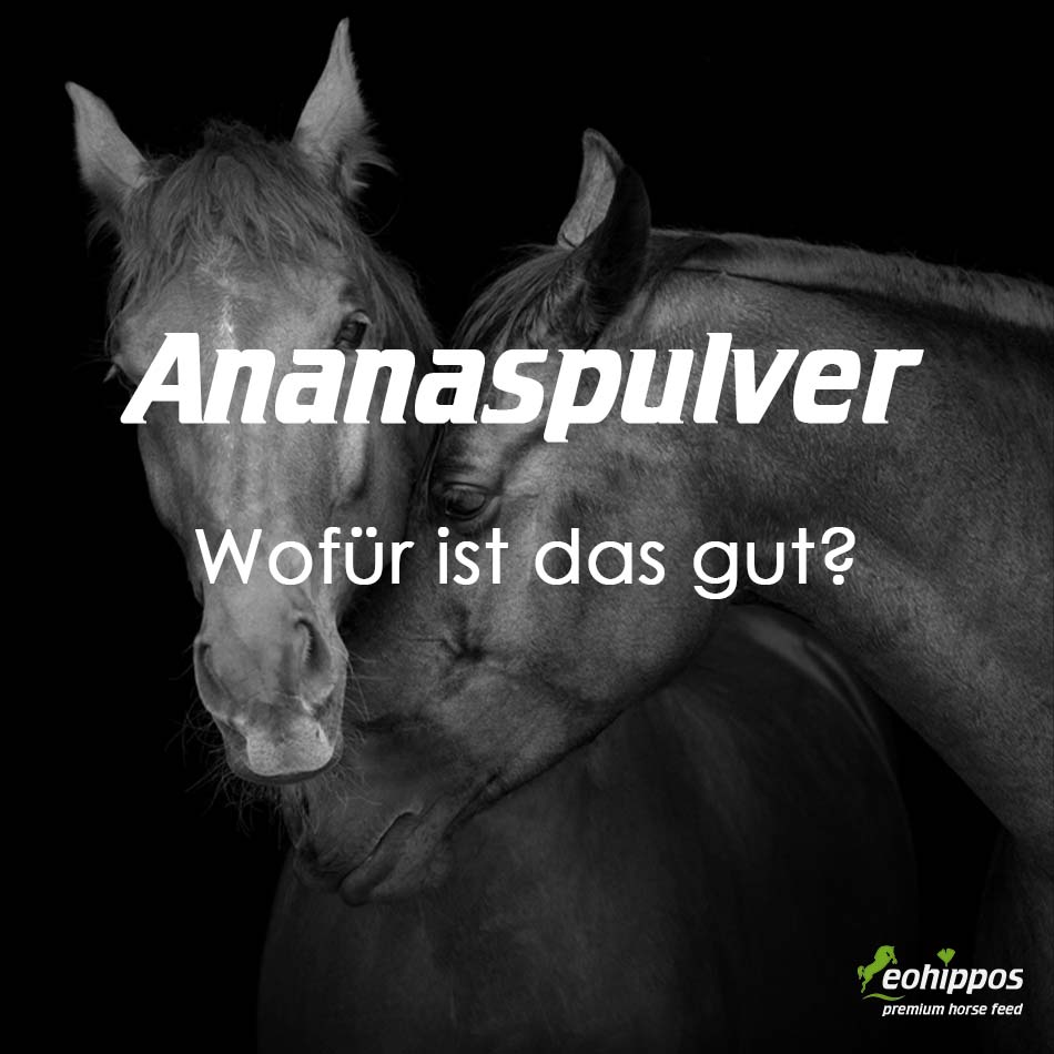 Eohippos Flexible Move Ergänzungsfutter bei Sehnenschaden vegan