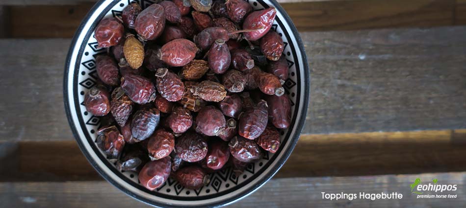 Getrocknete Hagebutte für Pferde Hunde Tiere rein natürlich von Eohippos Toppings Hagebutte Eohippos Pferdefutter getrocknete Hagebutten für Pferde Leckerli