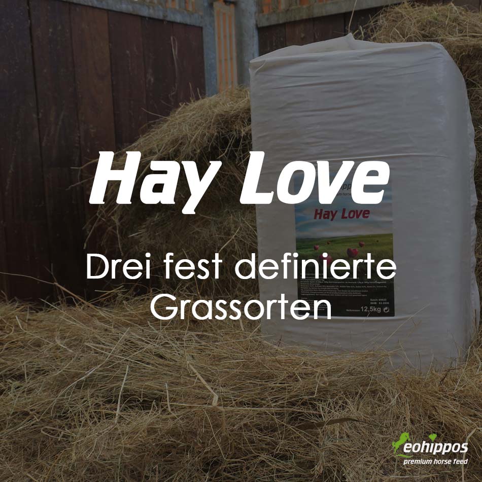 Eohippos Hay Love Heuersatz und Heuhäcksel für dein Pferd staubfrei luzernefrei Blog