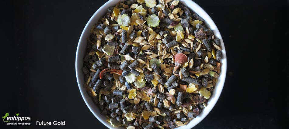 Eohippos Future Gold Pferdemüsli Zucht Zuchtmüsli für Zuchtstuten Hengste Fohlen Jährlinge ohne Zucker ohne Melasse Eohippos Pferdefutter Future Gold - Aufzuchtfutter für tragende Stuten und Fohlen ohne Zucker ohne Melasse Aufbaufutter für Pferde