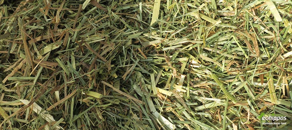 Eohippos Hay Love für Rehepferde PSSM1 Zuckerram geringer Zuckergahalt Heu Heuersatz für Pferde und Ponys