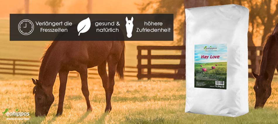 Hay Love Eohippos Heuersatz für Pferde zuckerfrei Heuhäksle Hay Love Pferdefutter als Heuersatz Heuhäksel staubfrei Allergieker Rehepferd Pony ohne Zucker