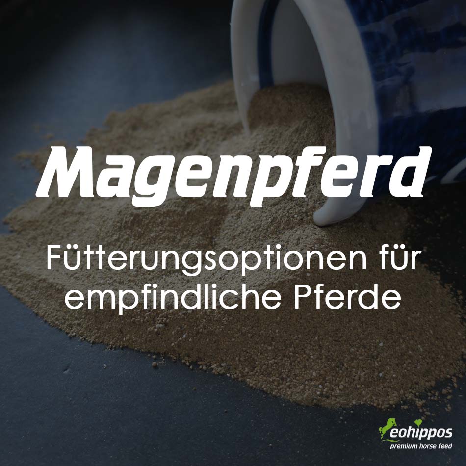Pferd Magengeschwüre Eohippos Gastro Pferdefutter Kolik Zusatzfutter
