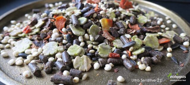 Eohippos Ultra Sensitive Pferdefutter für Pferde Gastro Müsli für Pferde mit Magenbeschwerden Magengeschwüren