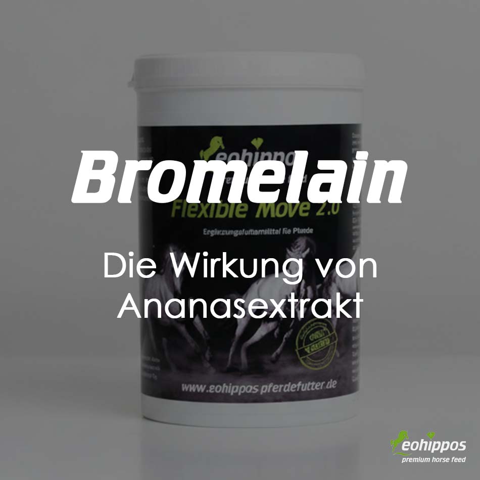 Flexible Move von Eohippos Pferdefutter mit Bromelain
