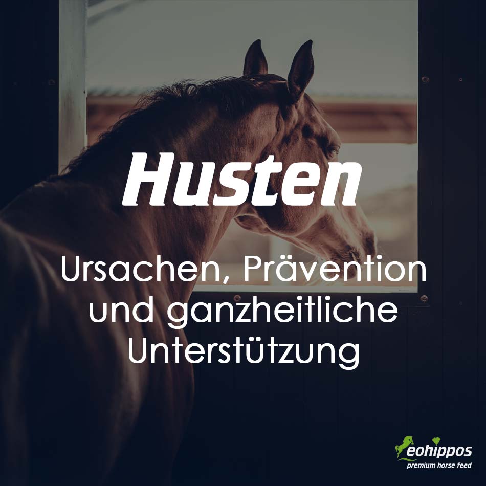 Husten beim Pferd – Ursachen, Prävention und ganzheitliche Unterstützung