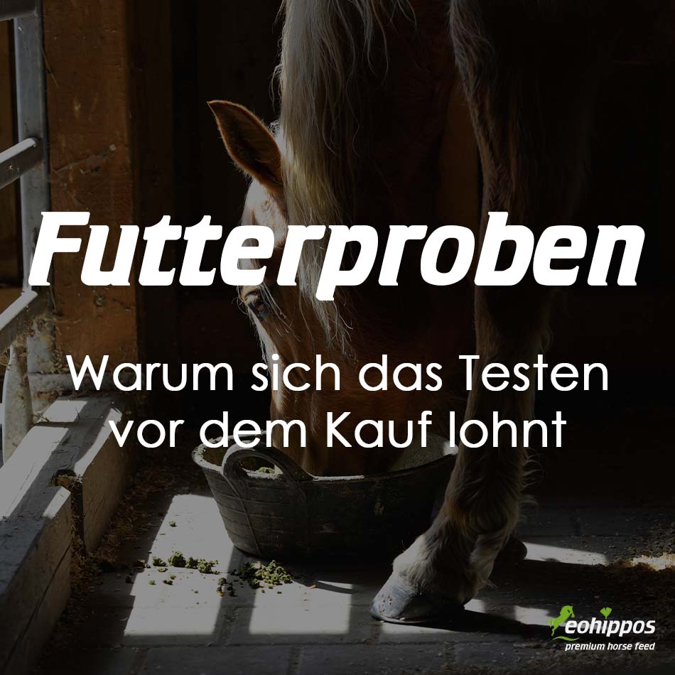 Futterproben Pferd Eohippos Pferdefutter