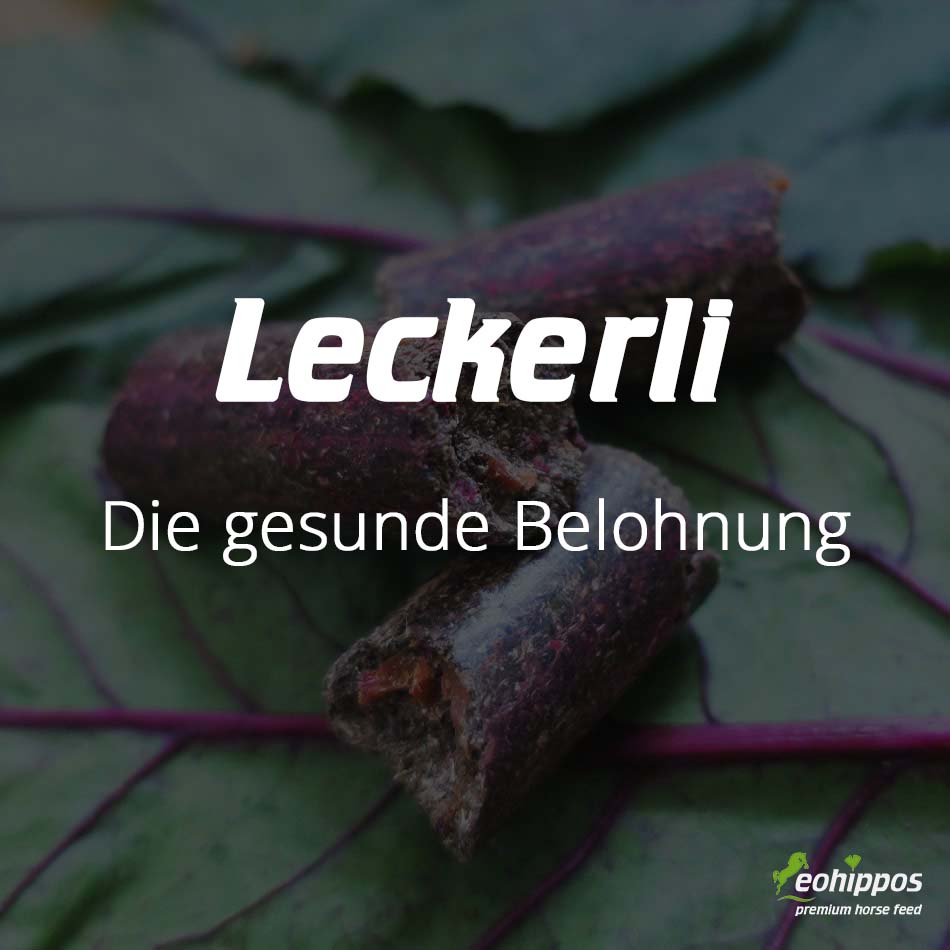Gesunde Pferdeleckerli – Warum die richtige Belohnung genauso wichtig ist wie das Hauptfutter