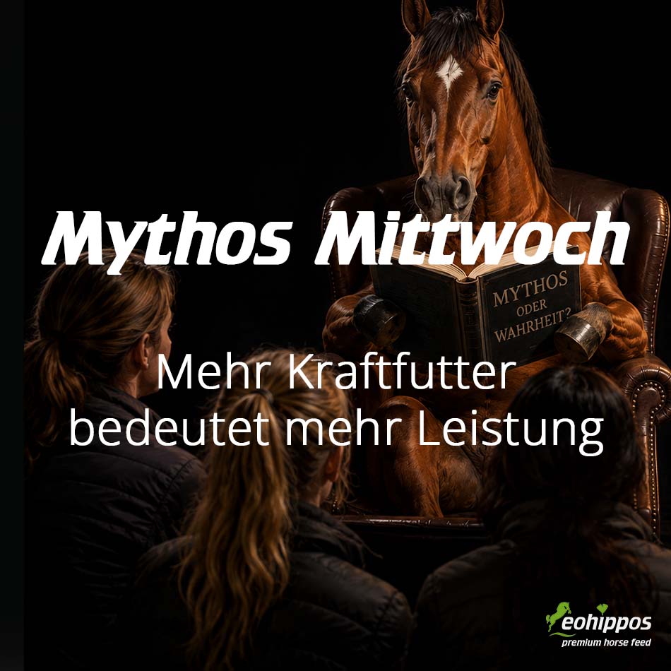 Mythos Mittwoch - Kraftfutter für Pferde