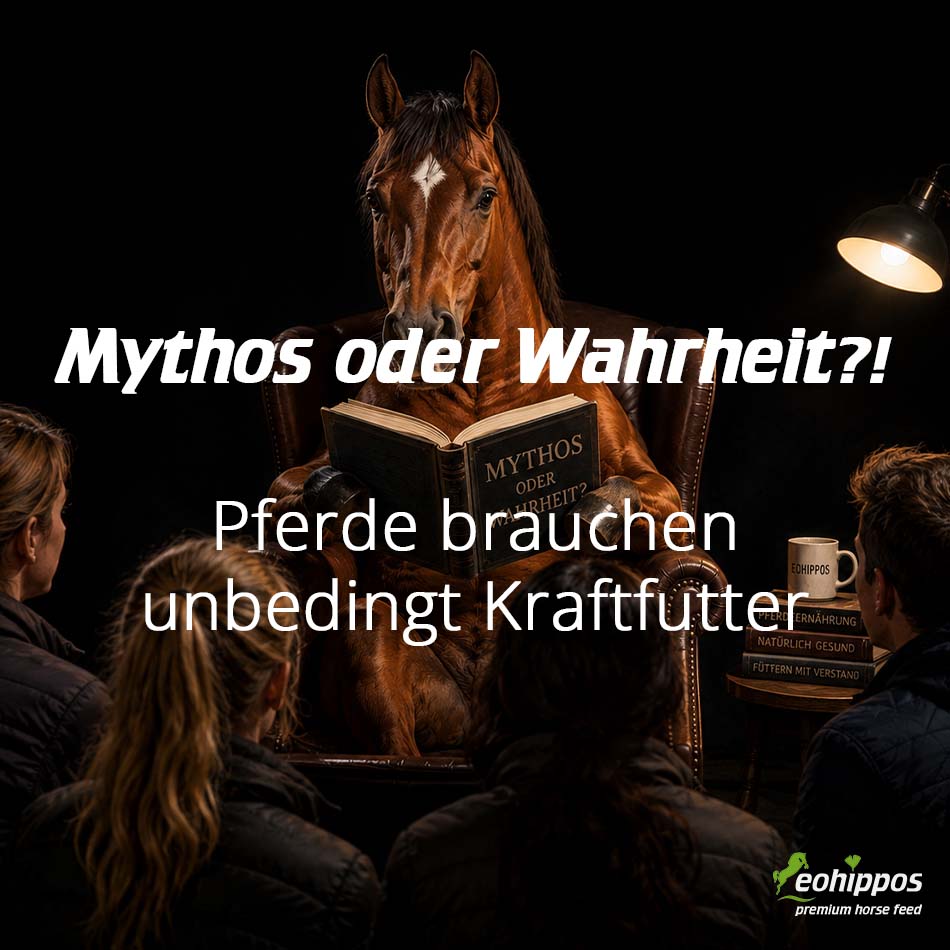 Brauchen Pferde unbedingt Kraftfutter? Erfahren Sie, wann Kraftfutter sinnvoll ist, worauf es bei der Pferdefütterung ankommt und warum der Bedarf entscheidend ist.